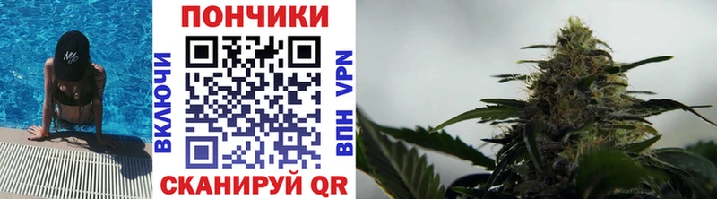 сайты даркнета какой сайт  Видное  МАРИХУАНА OG Kush 